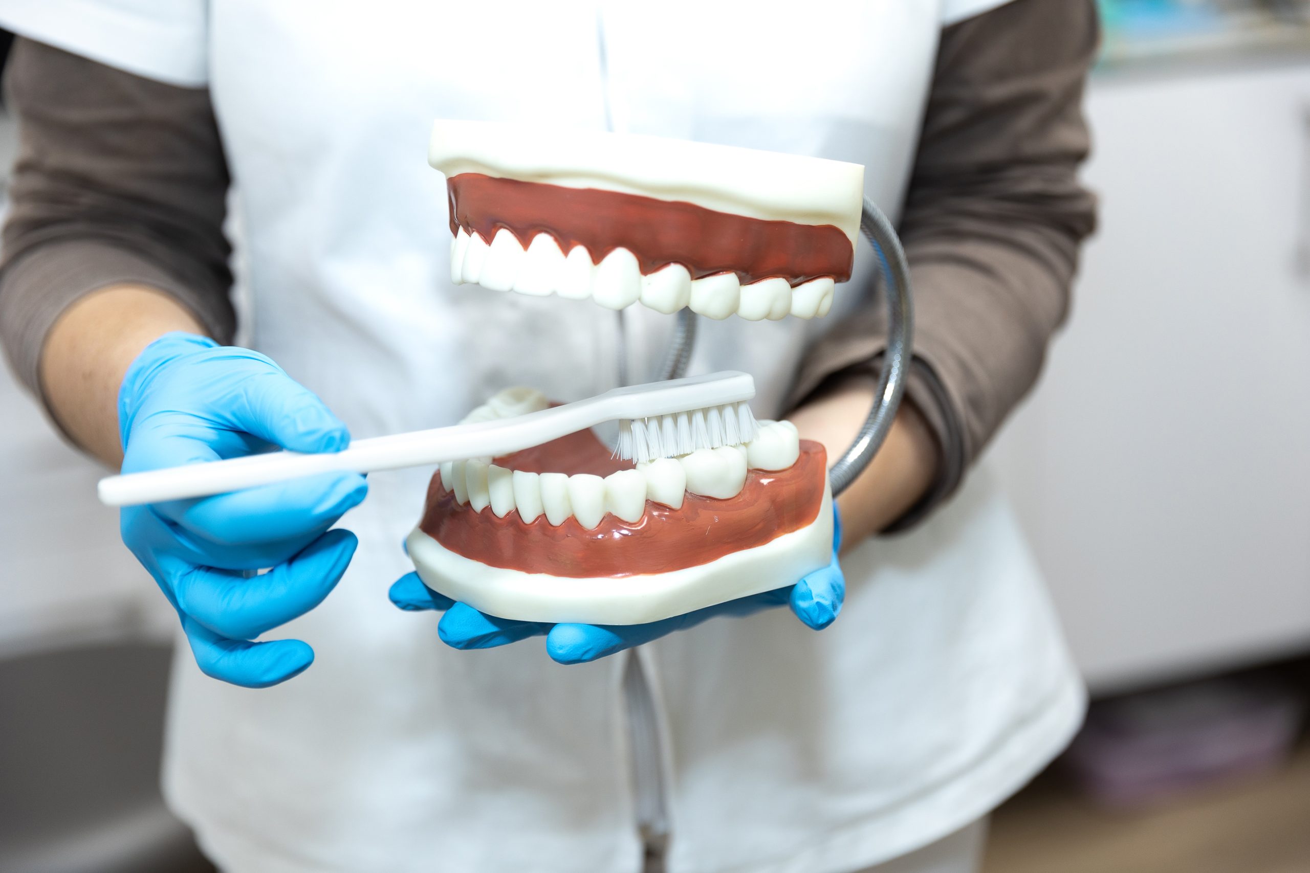 Explicación del cepillado dental con dentadura demostrativa