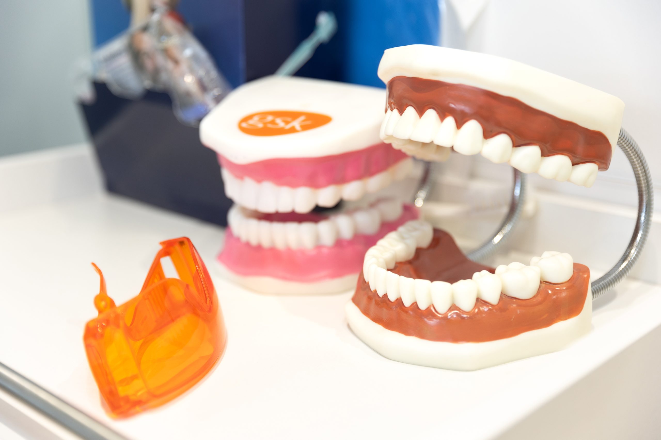 Dentaduras de muestra para explicación de tratamientos dentales